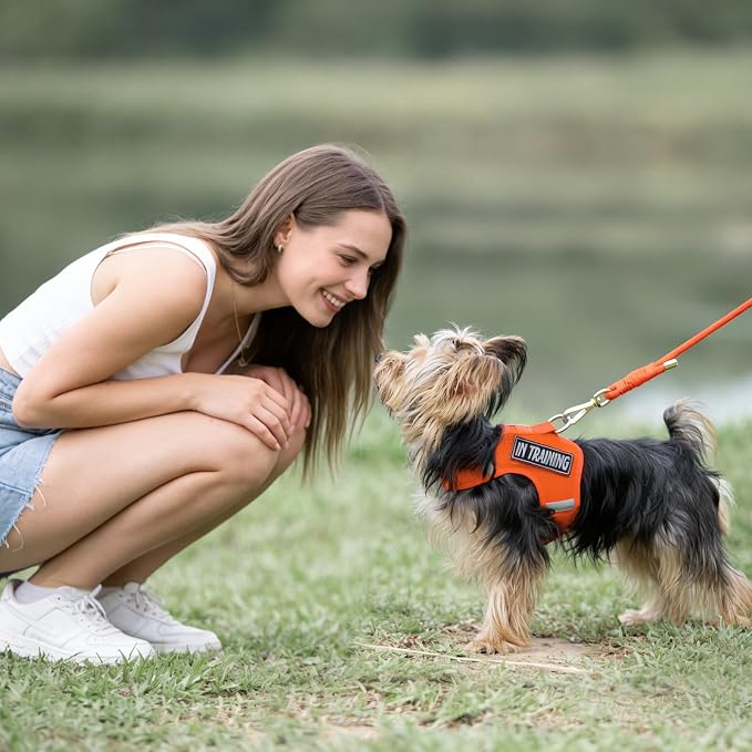 5FT Dog Leash 5/16 inch Puppy Cat Rope Lead | Orange, with Anti-tangle Swivel Clip, Comfortable Non-slip Grip Handle, Ideal for Daily Walks, for Small Medium Dogs - Image 8