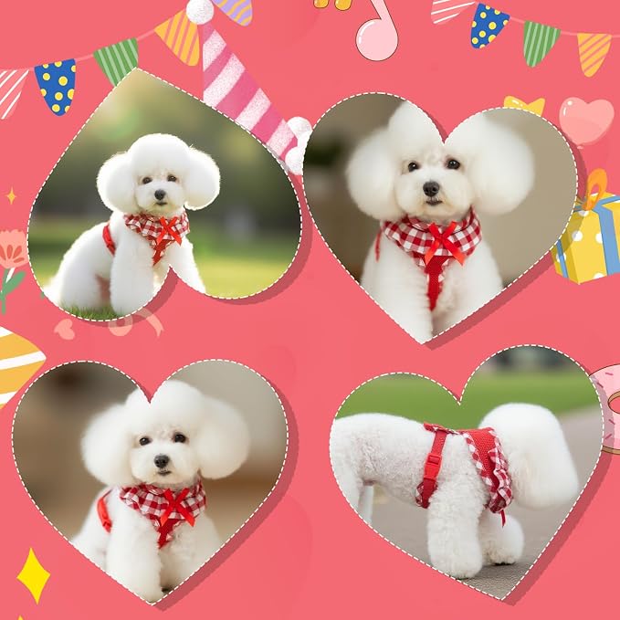 EXPAWLORER Step-in Dog Harness Small Sized and Leash Set | Cute Small Dog Harness No Pull Girl, Breathable Soft Mesh Padded, Adjustable Light Puppy Vest for Dogs Cats, Red S - Image 6