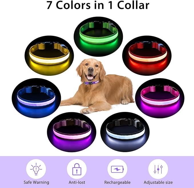 PcEoTllar Light up Dog Collar, for Night Walking, Adjustable, Purple, L | Colorful RGB Light, Waterproof, For Small Medium and Large Dogs, Durable Material, USB to Charge - Image 4