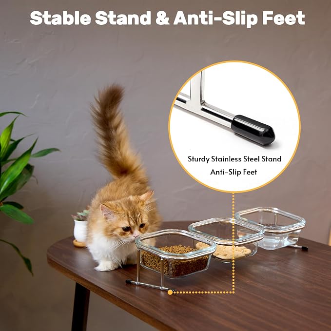 Elevated Cat Bowls, 15° Tilted Glass Raised Cat Food and Water Bowl | Stainless Steel Stand, 3 Large Capacity Glass Cat Bowls and 4 Anti Slip Feet, Suitable for Cats and Little Dogs - Image 5