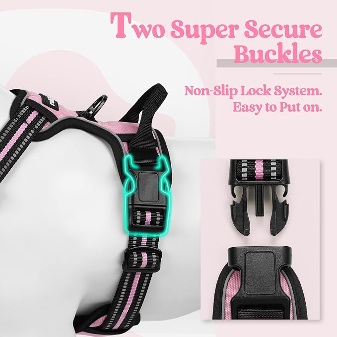 rabbitgoo Dog Harness, No Pull for Small Dogs with 2 Leash Clips, Pet Vest | No Choke with Handle, Adjustable Soft Padded, Reflective, Easy Control for Walking, Pink, Small - Image 3