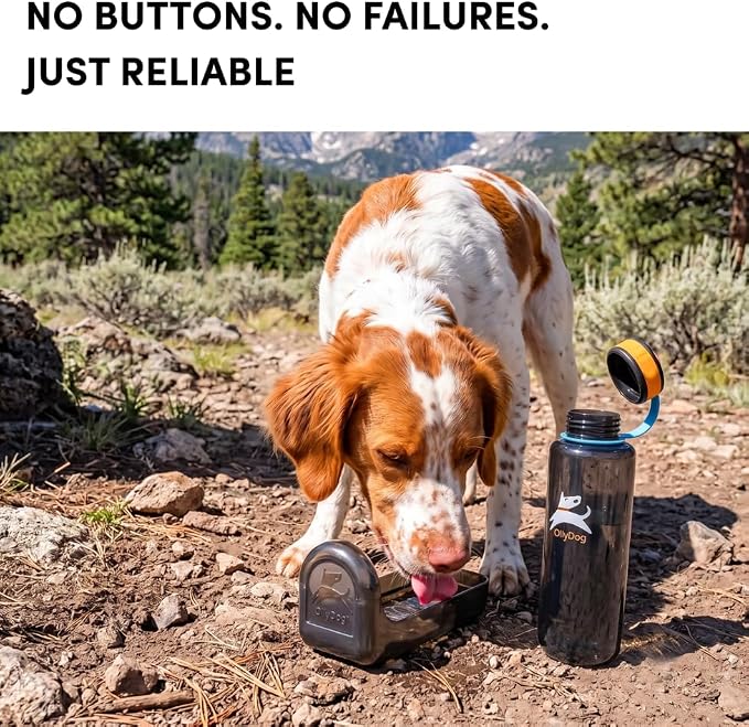 OllyDog OllyBottle Tritan Water Bottle with Detachable Dog Bowl | BPA Free Leakproof | 34oz | Share Water with Your Dog | Hiking Travel Camping (1L, Chromatic) - Image 2
