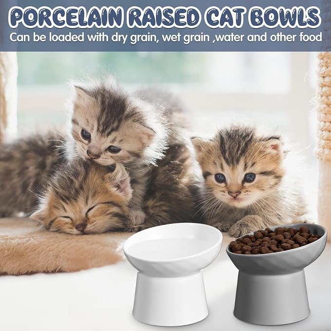 4 Pcs Ceramic Raised Cat Bowls, Elevated Tilted Cat Bowl for Food Water, Stress Free, Backflow Prevention, Dishwasher Microwave Safe, Feeder Dish for Indoor Kitten, Small Dogs(White and Grey) - Image 6