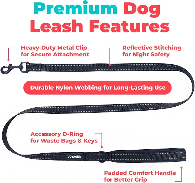 Best Pet Supplies Voyager Nylon Dog Leash - Black, Large | 5ft in Length, 1" in Width, Reflective, Soft Neoprene Handle, Heavy Duty Metal Clips for Running, Walking & Training - Image 2