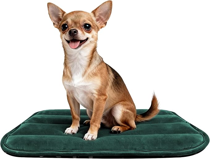 pobopobo Dog Crate Pad, Ultra Soft & Anti-Slip Kennel Mat, Secure Fit for Metal Crates & Dog Cages, Washable Cozy Bed for Small Medium Large Dogs (Green, S(23"*14"*1.5")) by %E7%AB%8B%E5%8D%B3%E8%B4%AD%E4%B9%B0