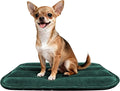pobopobo Dog Crate Pad, Ultra Soft & Anti-Slip Kennel Mat, Secure Fit for Metal Crates & Dog Cages, Washable Cozy Bed for Small Medium Large Dogs (Green, S(23"*14"*1.5")) by %E7%AB%8B%E5%8D%B3%E8%B4%AD%E4%B9%B0