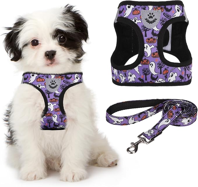KOOLTAIL Halloween Dog Harness and Leash Set for Small Medium Dogs, Step in No Pull Soft Mesh Harness Comfort Padded Pet Vest, Adjustable Reflective Easy Walking Puppy Cats Harness Training, Ghost S by KOOLTAIL