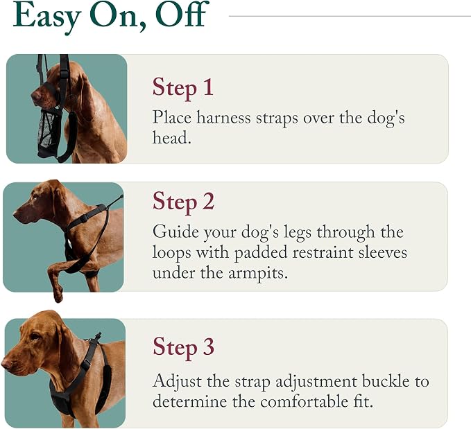 Sporn No Pull Dog Harness, Durable Nylon Mesh Harness for Small Dogs, No Choke Design, Padded Restraint Sleeves, Adjustable Fit, Easy On/Off, XS for Extra Small Breeds, Black - Image 5