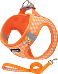 AIITLE Step in Medium Dog Harness and Leash Set, Puppy Pet Vest, Orange M | Breathable Mesh, Adjustable Fit, No-Pull Reflective Design, Escape Proof, for Small-Medium Dogs, Outdoor Walking, Running by AIITLE-FORPETSBETTERLIFE