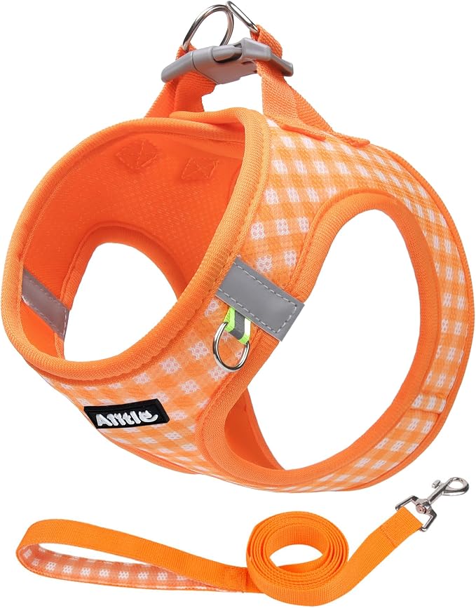 AIITLE Step in Small Dog Harness and Leash Set, Puppy Pet Vest, Orange XXS | Breathable Mesh, Adjustable Fit, No-Pull Reflective Design, Escape Proof, for Small-Medium Dogs, Outdoor Walking, Running by AIITLE-FORPETSBETTERLIFE