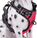 PoyPet No Pull Dog Harness Large, Reflective Vest with Front Clip & Handle | Easy On/Off, No Choke, Adjustable, 2 Leash D-rings, Soft Padded, Breathable, Oxford, for Walking Training, XL, Red by PoyPet