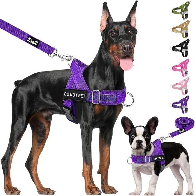 Lukovee No Pull Dog Harness and Leash Set, Soft Padded Vest with Front Clip | Adjustable, No Choke, Reflective,Durable Easy Control Pet Vest Harness for Safe Walking for Medium Large Dogs (Purple, M) - Image 9