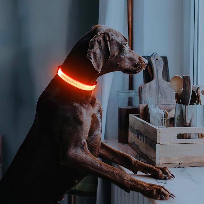 Illumifun LED Dog Collar, Adjustable Light Up Dog Collars, USB Rechargeable Water-Resistant Glowing Safety Collar Light (Orange, Small) - Image 5