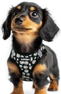 rabbitgoo Step-in Small Dog Harness, Puppy Vest for Small Sized Pet | Easy Put on and off, Lightweight, Soft, Breathable Quick-Dry Air Mesh for Comfortable Secure Walking, Midnight Daisy XXS by rabbitgoo