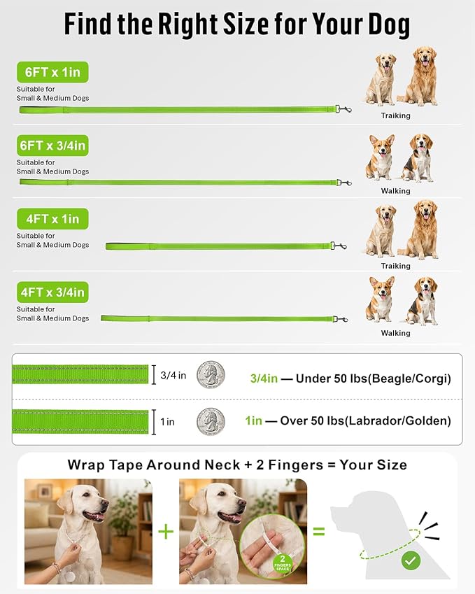 FunTags Reflective Nylon Dog Leash for Small & Medium Dogs, 6FT for Walks | Comfortable Padded Grip, Stay Safe at Night, 360° Anti-Tangle Swivel, for Dog Parks & Trails, Green - Image 7