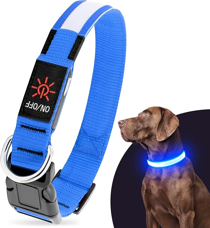 Illumifun LED Dog Collar, Water-Resistant Light Up Dog Collar, Safety Dog Collar Light for Your Dogs Walking Camping(Blue, X-Large) by Illumifun