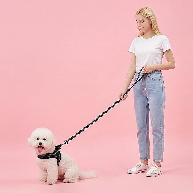 Didog 6FT Reflective Dog Leash for Small Medium Dogs,Slim 5/8" Width, Black | Soft Padded Handle, Plush Comfort Grip, Tangle-Free, 360° Swivel Clasp for Daily Walking and Training, Night Safety - Image 3
