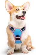 Eagloo Dog Harness for Medium Sized Dogs, No Pull Vest with 2 Leash Clips | No Choke with Handle, Adjustable Comfort Fit, Reflective Strips, Easy Walking Control, Pink & Sky Blue, Medium by GoExplorewithEagloo