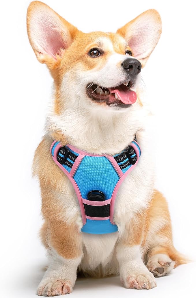 Eagloo Dog Harness for Medium Sized Dogs, No Pull Vest with 2 Leash Clips | No Choke with Handle, Adjustable Comfort Fit, Reflective Strips, Easy Walking Control, Pink & Sky Blue, Medium by GoExplorewithEagloo