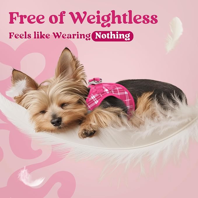 rabbitgoo Step-in Small Dog Harness, Puppy Vest for Small Medium Sized Pet | Easy Put on and off, Lightweight, Soft, Breathable Quick-Dry Air Mesh for Comfortable Secure Walking, Rose Red Plaid L - Image 4