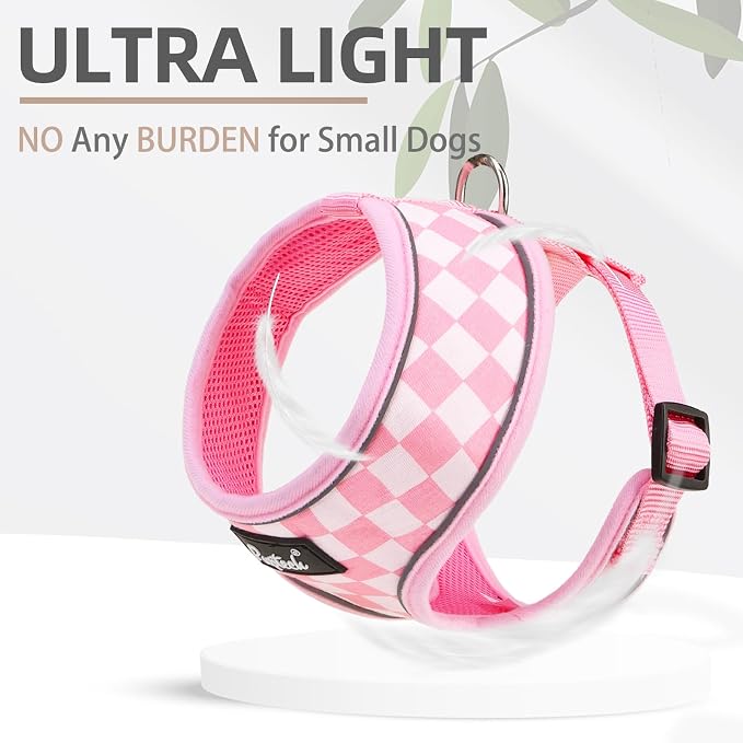 PUPTECK Small Dog Harness and Leash Set No Pull for XS XXS Sized Dogs Puppy | Escape Proof No Choke Pet Cat Adjustable Soft Padded Walking Vest - Image 5