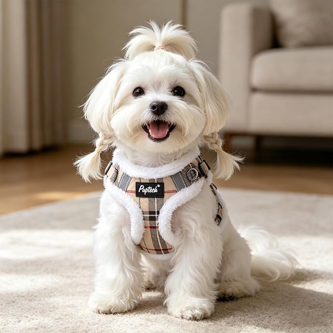 PUPTECK Dog Harness and Leash Set Small Sized, Step in No Pull Adjustable Puppy Cat Harness Reflective Pet Vest - Image 6