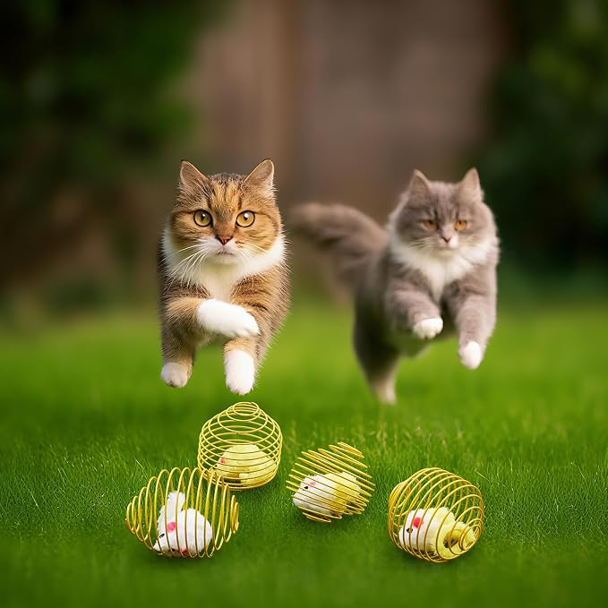 Jecery 5 Pcs Cat Toys Spring,Yellow Mouse,Yellow | Interactive Metal Cat Toy, Stretchable Rolling Ball, for Indoor Cats, Colorful Playful Coils, Kitten Pet Supplies - Image 5