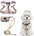 PUPTECK Dog Harness and Leash Set Small Sized, Step in No Pull Adjustable Puppy Cat Harness Reflective Pet Vest by PUPTECK