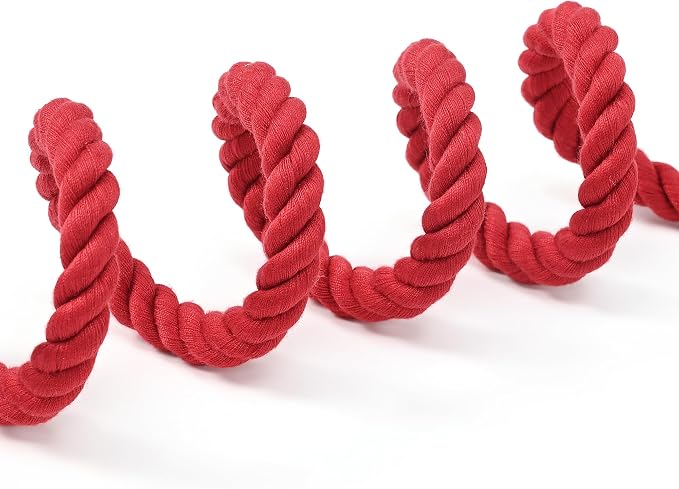 Mile High Life Dog Leash Braided Cotton Rope with Leather-Reinforced Ends | Rust-proof 360° swivel clasp, Heavy-duty for medium/large breeds. Great for weddings, daily walks (4 FT, 1/2", Red) - Image 5
