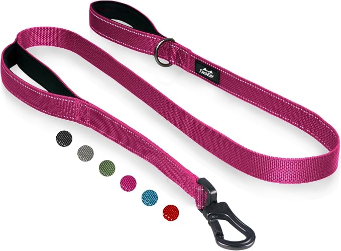 Twoear 4FT 1IN Heavy Duty Dog Leash for Large Dogs with 2 Padded Handles | Traffic Handle Extra Control, Auto Lock Hook, Strong Reflective Walking Leash for Night Safety, Medium and Large Breeds,Rose by TwoEar