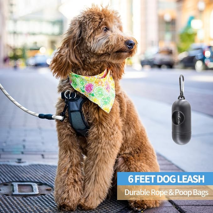 2/4/5/6 FT Dog Leash with Comfortable Padded Handle and Highly Reflective Threads for Small Medium and Large Dogs (6FT-1/2'', Silver) - Image 5