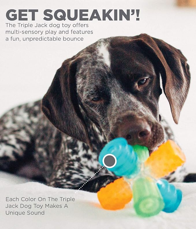Outward Hound Triple Jack Interactive Multi-Squeak Dog Toy, 4.9" | Grunts, Squeaks & Squawks, 3 Unique Textures, Unpredictable Bounce, Indoor Outdoor, Moderate Chewers, Dogs & Puppies - Image 6