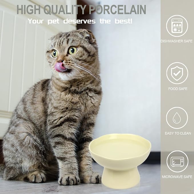 6.1" Wide 1.57" Deep Elevated Cat Bowls, Ceramic Water Bowls for Flat Faced Cats,Cat Feeder,Stress Free,Protect Cat’s Spine,Cream - Image 5