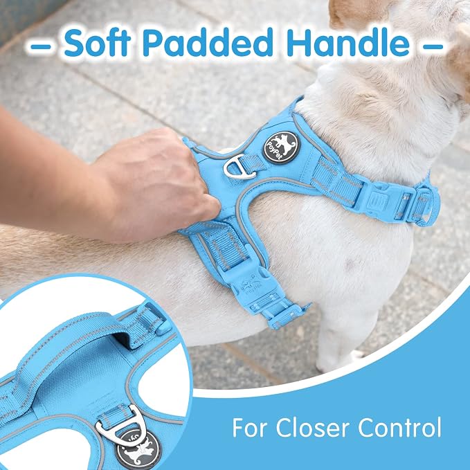 PoyPet Dog Harness and Leash Set, No Pull Vest with Front Clip and Handle | Escape Proof, Reflective, 3 Buckles, 2 D-rings, Adjustable, Soft Padded, 5 Feet Leash, for Walking Training, Light Blue, L - Image 3