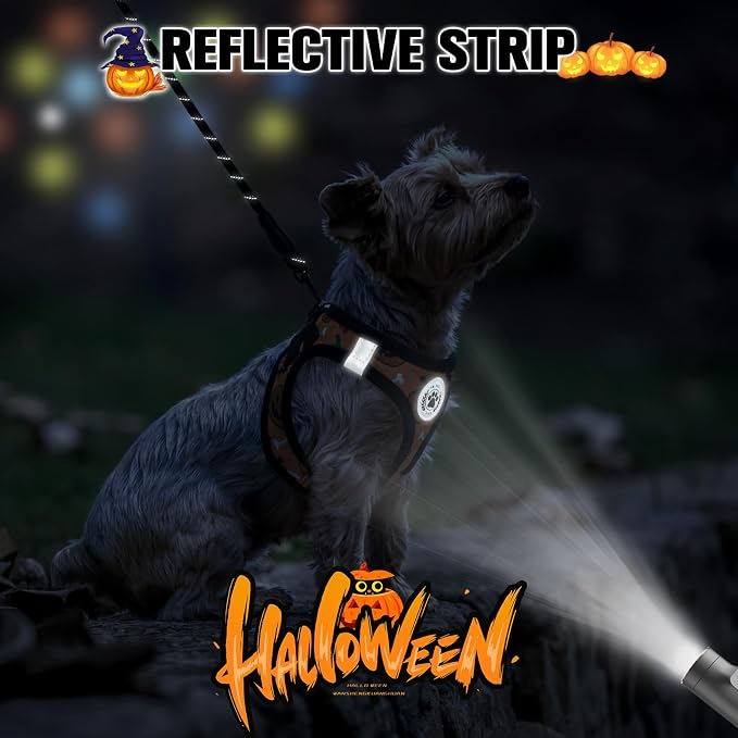 BEAUTYZOO Halloween Dog Harness Medium Sized and Leash Set,No Pull Pet Vest | Step-in Easy On/Off, All Season Breathable Mesh,Escape-Proof Hook & Loop,Lightweight Reflective,No Choke,Easy Walking Control - Image 6