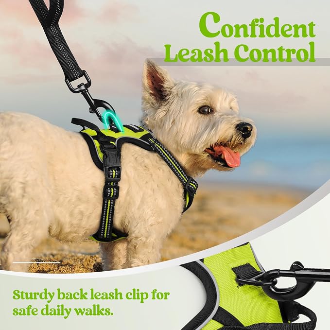 rabbitgoo Dog Harness No Pull with 2 Leash Clips, Adjustable Soft Padded, Reflective Oxford No Choke Pet Vest with Easy Control Handle for Puppy, Green, XS | No Choke with Handle, Adjustable Soft Padded, Reflective, Easy Control for Walking, Wild Lime,... - Image 6