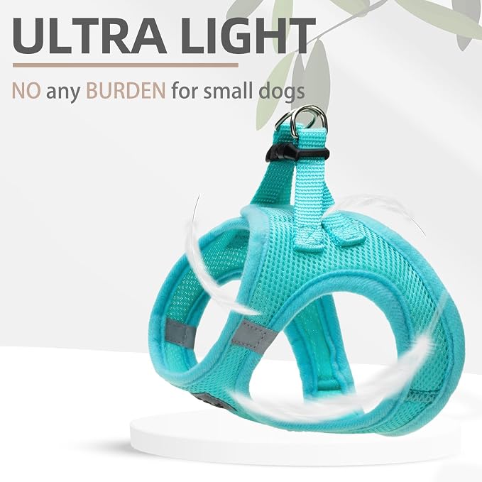 PUPTECK Dog Harness, Collar and Leash Set No Pull for Small Medium Sized | Soft Mesh Puppy Step-in Escape Proof Reflective No Choke Pet Cat Adjustable Walking Vest - Image 6