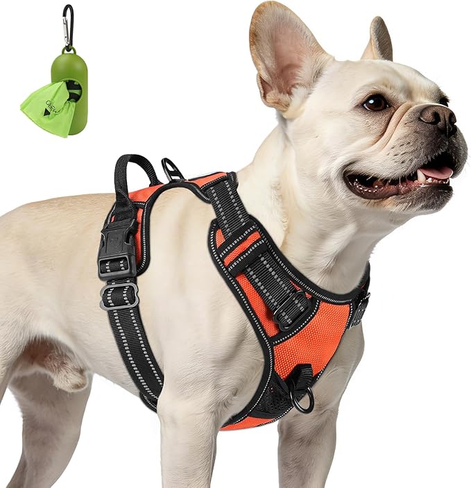 Joytale No Pull Dog Harness for Small Dogs, Front Clip, Orange | Grab Handle for Instant Control, Padded & Adjustable Vest, Sturdy Metal D-Rings, for Safe Training & Daily Walking by Joytale