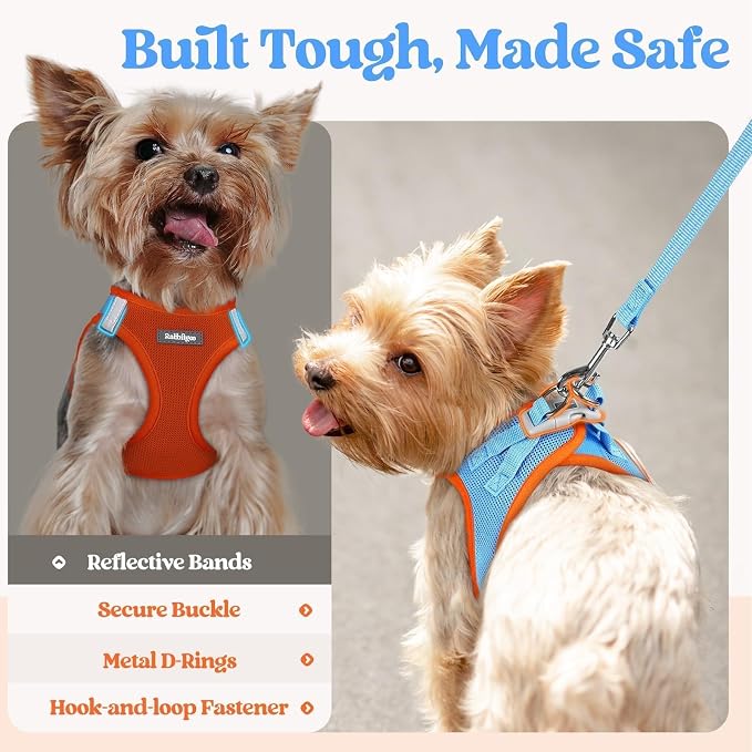 rabbitgoo Dog Harness Small Sized and Leash Set, Step-in Puppy Pet Vest | Light, Soft, Breathable Air Mesh, Easy on and Remove with Hook & Loop, Secure Reflective for Walking, Blue & Orange XS - Image 5