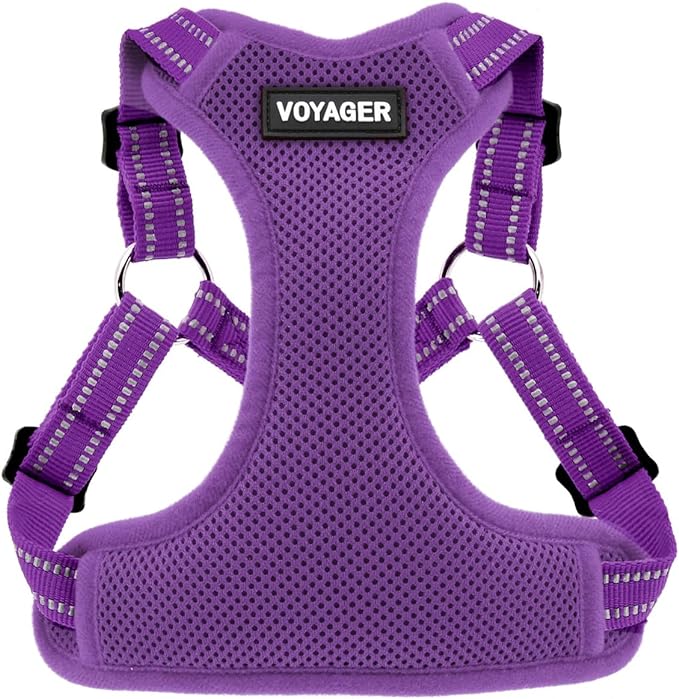 Voyager Step-in Flex Adjustable Dog Harness - Purple, Large | 20 - 25" in Chest, Fully Adjustable, Reflective Bands, All Weather Breathable Air Mesh, Lightweight, Fast Drying by BestPetSuppliesLLC