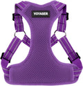 Voyager Step-in Flex Adjustable Dog Harness - Purple, Large | 20 - 25" in Chest, Fully Adjustable, Reflective Bands, All Weather Breathable Air Mesh, Lightweight, Fast Drying by BestPetSuppliesLLC