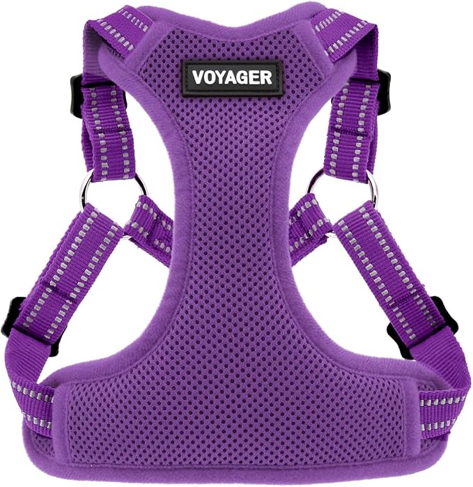 Voyager Step-in Flex Adjustable Dog Harness - Purple, X-Large | 23 - 28" in Chest, Fully Adjustable, Reflective Bands, All Weather Breathable Air Mesh, Lightweight, Fast Drying by BestPetSuppliesLLC