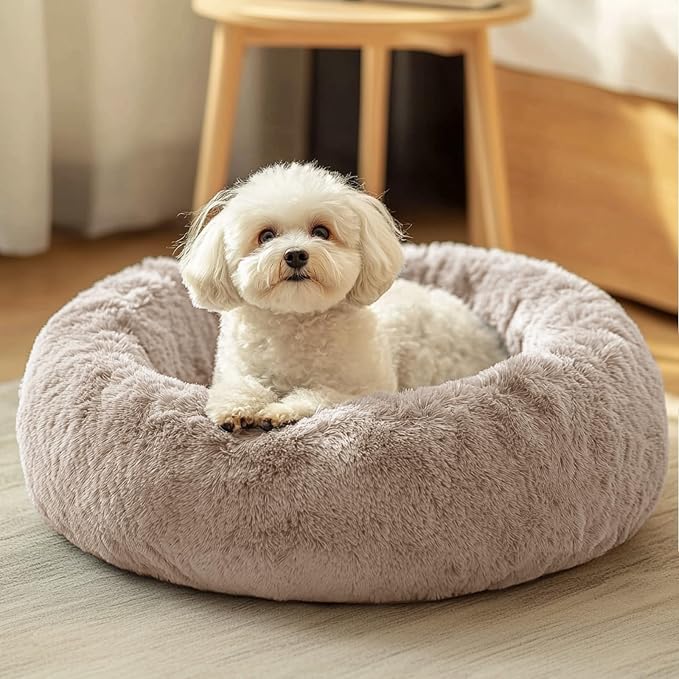 JOLLYVOGUE Dog & Cat Bed, Calming Anti-Anxiety Pet Bed for Small Dogs, Fluffy Donut Cushion for Small and Medium Pets (20") by JOLLYVOGUE