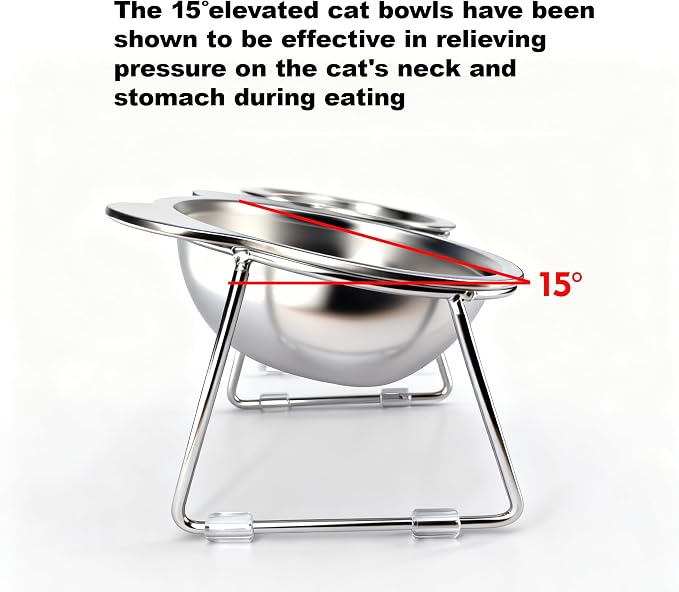 2 Pack Elevated Pet Bowls for Small Cats and Dogs 15° Tilted | Anti-Vomiting Stainless Steel Raised Dishes, 5.9” Whisker & Spine Friendly Indoor Food & Water Bowls - Image 7