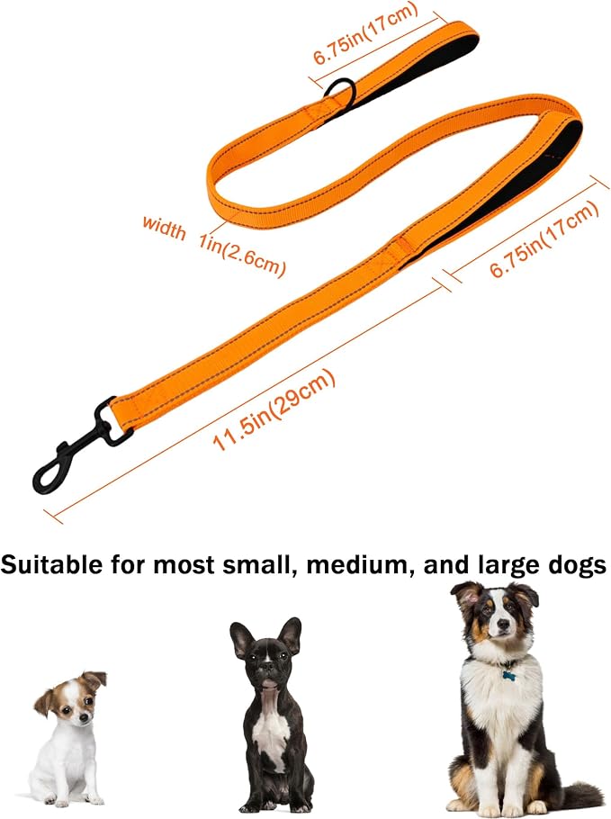 Solmoony 4FT Orange Strong Dog Leash with 2 Padded Handles, Traffic Handle Extra Control, Double-Sided Reflective Walking Lead for Small Medium and Large Dogs(Orange, 4FT) - Image 5