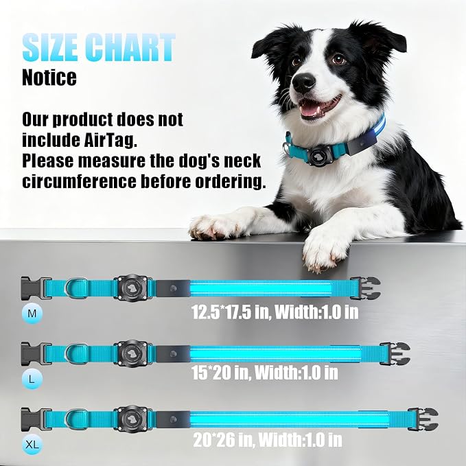 LED AirTag Dog Collar - Brightest Light Up Dog Collars, Blue L | IP68 Waterproof Air Tag Dog Collar Holder, 1,600 Feet of High Visibility, Magnetic Charging, Dog Lights for Night Walking - Image 7