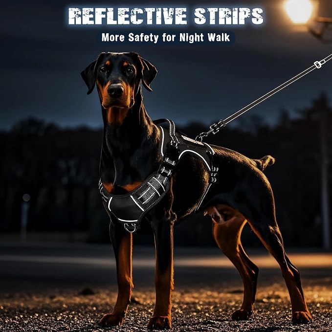 Tactical Dog Harness and Leash Set for Large Dogs+10 Dog Patches | Heavy Duty No Pull Service Dog Vest with Dog Seat Belt,Padded Handles,Adjustable Reflective for Training Hiking Black L - Image 7