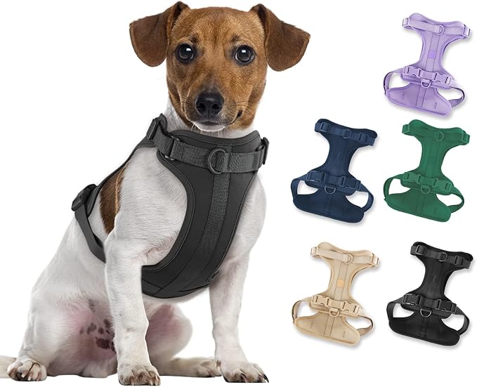 Wisedog Lightweight No Pull Dog Harness, Black, Medium | Air Mesh, 3 Clips, Adjustable, No Choke Design, Ideal for Walking Training by WisedogPetSupplies