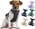 Wisedog Lightweight No Pull Dog Harness, Black, Medium | Air Mesh, 3 Clips, Adjustable, No Choke Design, Ideal for Walking Training by WisedogPetSupplies