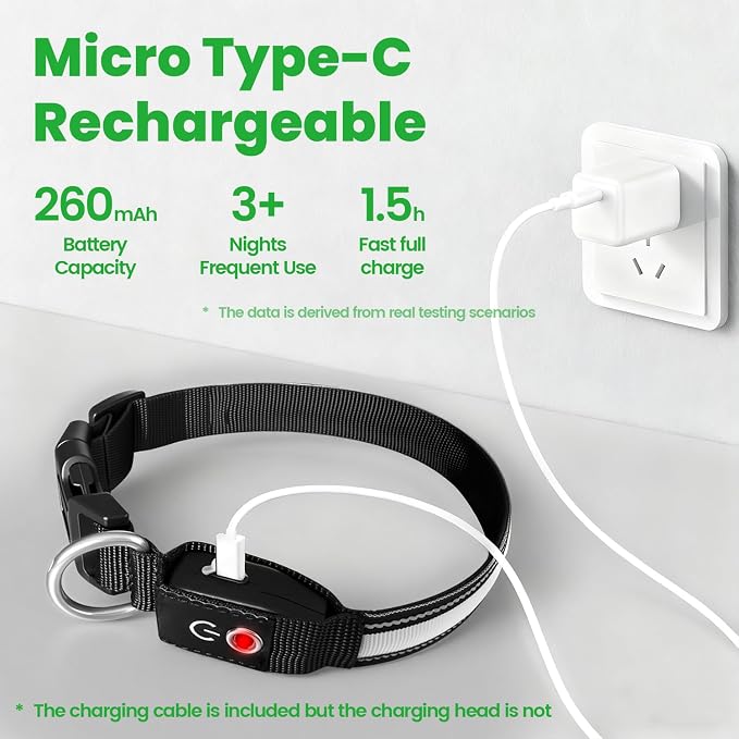 Auto Light Up Dog Collar - Smart Safety Night Collar with Motion Sensor - Auto-On in Dark - USB-C Rechargeable - 3 Day Runtime- IP65 Waterproof (M 15-20“) - Image 6